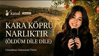 Kara Köprü Narlıktır 🍅 (Öldüm Dile Dile) - Unutulmaz Geleneksel Türkü