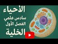 محاضرة الاولى 2026 محاضرة الاولى 2026