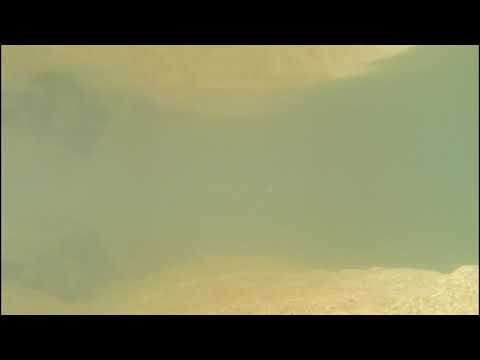 【自然音・ASMR】水中撮影：日野川の浅瀬  [リラックスムービー]