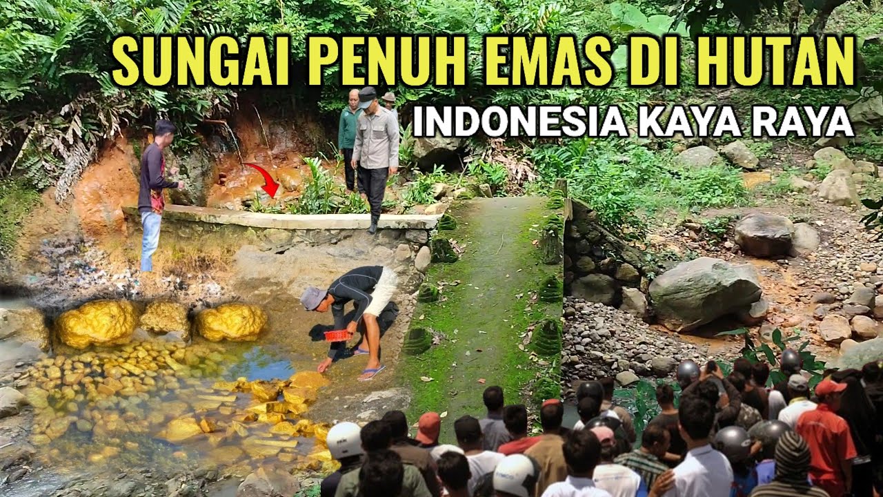 Lagi Viral.! Ditemukan Sungai Penuh Emas Di Jawa Timur