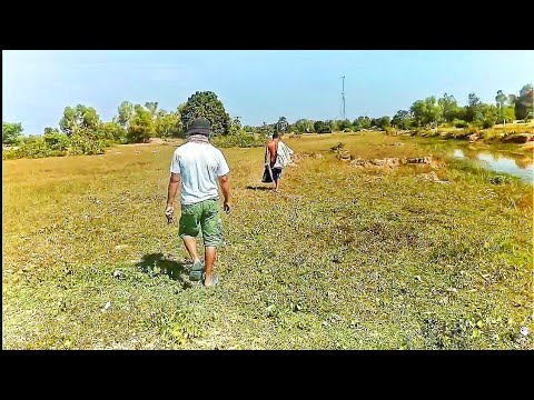 Amazing countryside fishing. - YouTube