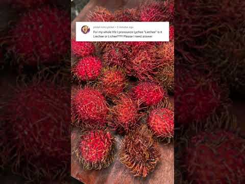 Video: Wanneer lychee in seisoen is?