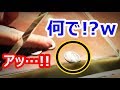 【海外の反応】衝撃！外国人が日本人に仕掛けた『ある実験』に世界が仰天！その驚きの結果とは…？！予想外の事態に驚愕！賞賛の声が続出!【すごい日本】