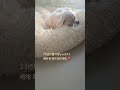 24년12월31일 pm2:34