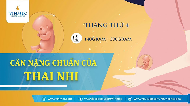 Thai nhi phát triển theo tuần như thế nào