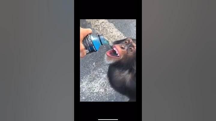Обезьянка 🙉😳🙉