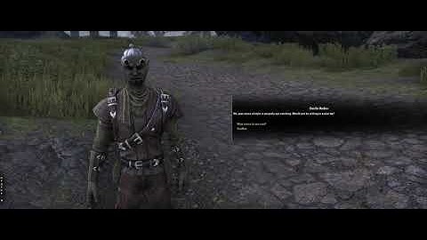 ESO Face Animation Bug