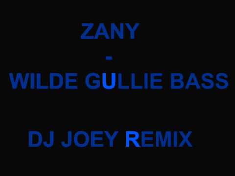 dj zany ft dv8 - wilde gullie bass (dj joey remix)