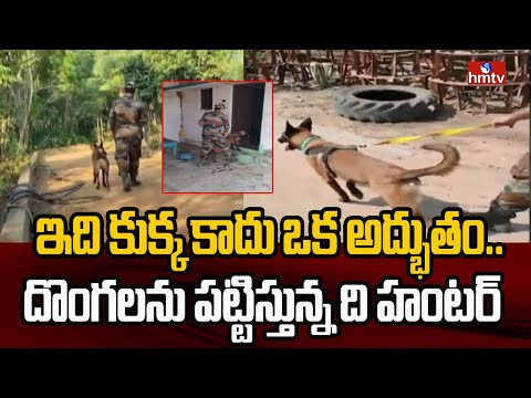 ఇది కుక్క కాదు ఒక అద్భుతం.. దొంగలను పట్టిస్తున్న ది హంటర్ | The Hantar | hmtv