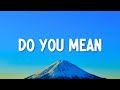 The Chainsmokers Ty Dolla Ign Do You Mean Lyrics Ft Bülow 
