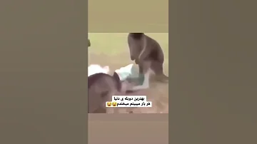 میگم کلم گیر کرده بکشید کنار 