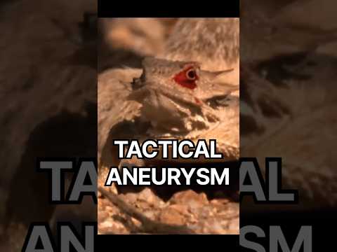 A DISGUSTING self defense strategy