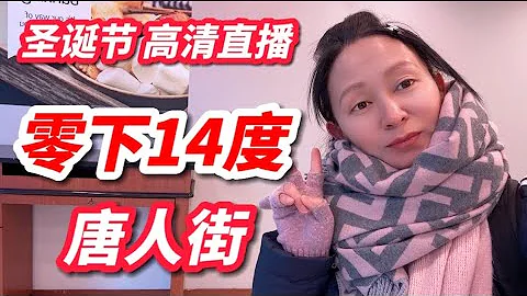 高清直播：圣诞节，纽约唐人街，零下14摄氏度，10几年最冷圣诞夜 - 天天要闻