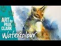 How to paint a fox in watercolour - step by step