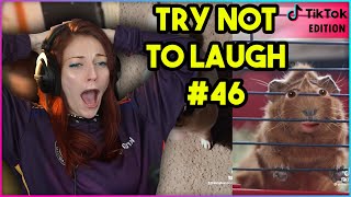 TRY NOT TO LAUGH CHALLENGE #46 (TikTok/Twitter Edition) | Kruz Reacts