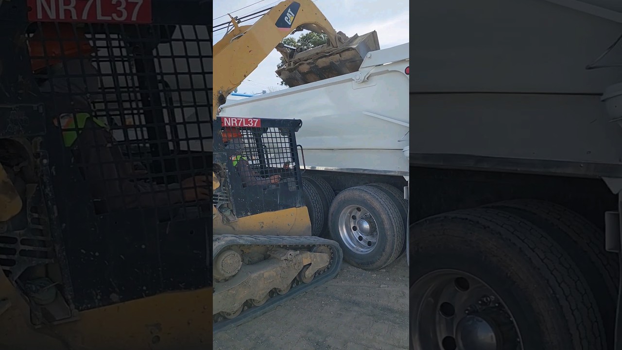 Wow! Watch How Easy This Cat 259B3 Skidsteer Loads a Dump Truck! #shorts #skidsteers #caterpillar