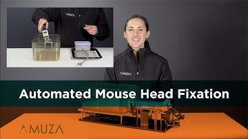 Mice Learn Voluntary Head-Fixation
