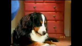 Meridian Continuity Ads 22-12-99