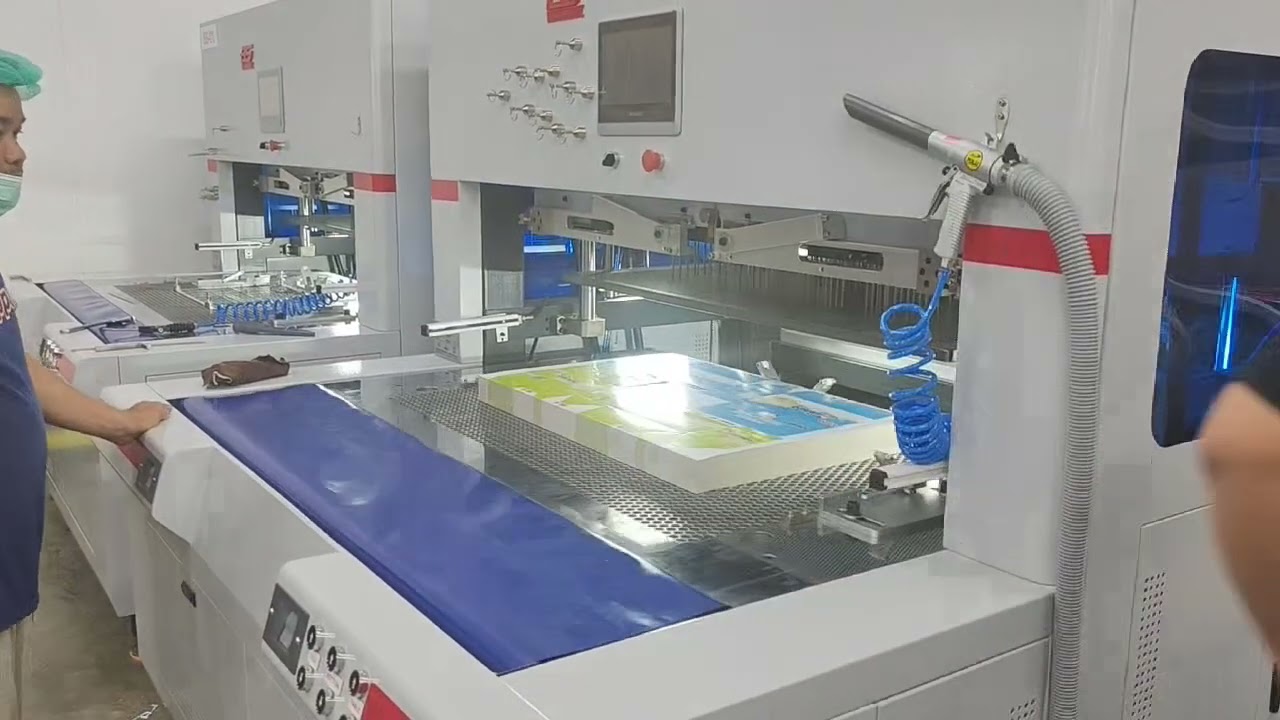 New die cut blanking stripping machine installed in Thailand 