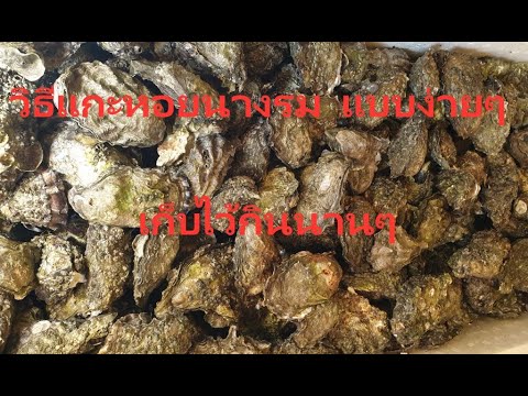 วีดีโอ: วิธีเก็บหอยนางรม