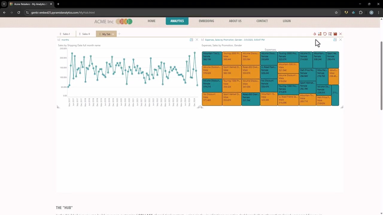 Pyramid 2025 Newton release - Embedded Search