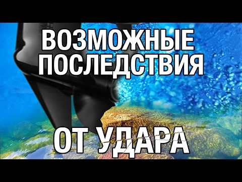 Видео: Делает ли evinrude 4 удара?