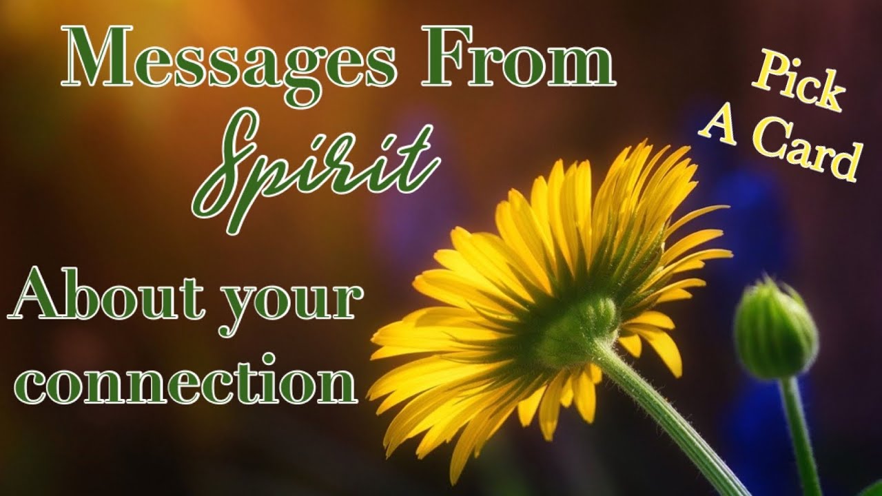 PICK A CARD | Tarot Love Reading | What does spirit want you to know ...