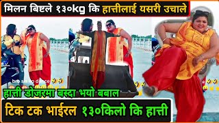 १३० किलो कि हात्तीलाई मिलन बिष्टले फ्याट्टै उचाले,डोजर उपहार!Tik tok haati