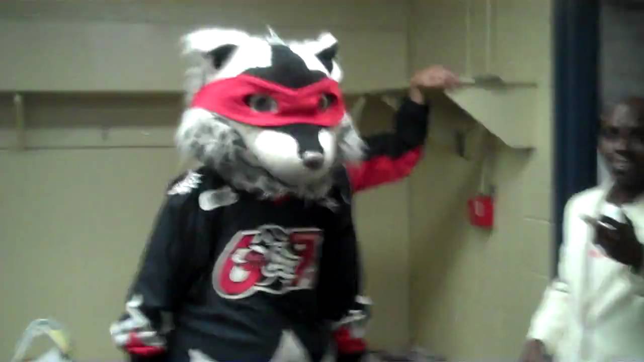 Racoon Riley Ottawa 67's behind the scenes! With Jon-e Shakka and Riley Raccoon ...