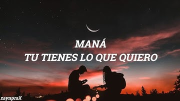 Maná - Tú Tienes Lo Que Quiero (Letra)