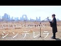 【full cover】シンデレラ / ACE COLLECTION