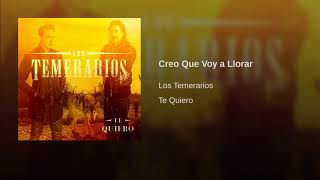 Los temerarios - creo que voy a llorar