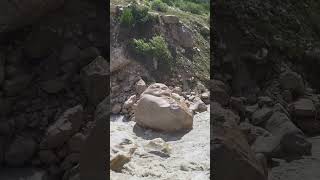 Gangotri Gaumukh Trek