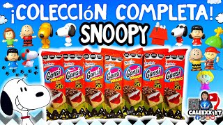 Snoopy Gansi Premio Colección Completa SNOOPY