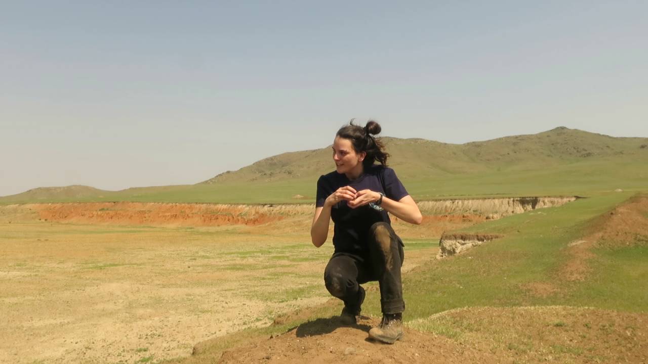 Pinélisation de la steppe mongole