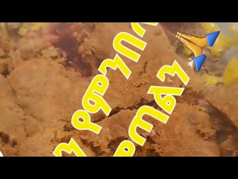 Selam Tube ሰላም ዩቱብ Is Live ተሰባስበን የምንበላበት ግዜ ያምጣልን