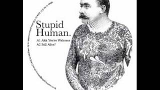 Stupid Human - Ahh You're Welcome chords