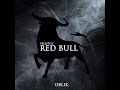 Oblik  red bull freestyle visualizer