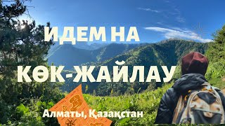 Как сходить на Кок-Жайляу в Алматы
