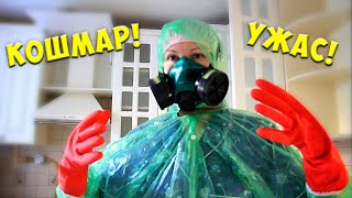 Пищевые муравьи в квартире / Плохая работа РЭО. Дезинсекция / GrishAnya Life Пищевые муравьи в квартире / Плохая работа РЭО. Дезинсекция / GrishAnya Life