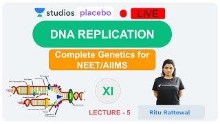 6 Steps of DNA Replication