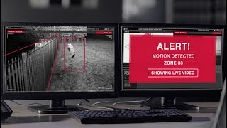 Creating Smarter Systems With Network Lighting