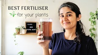 Best Fertiliser for Plants at Home Best Fertiliser for Plants at Home