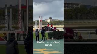 阪神競馬場の誘導馬 ミツバ、ホウオウジョルノ、ハギノエスペラント