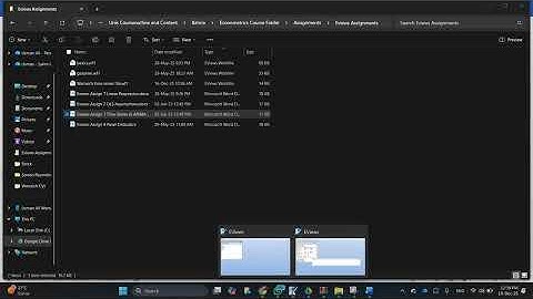 Eviews Assignment Solutions