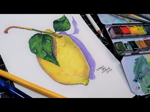 Acquerello Limone Tutorial // facile 4 colori Skill-builder