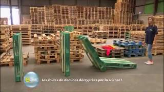 Les palettes vertes ECOPGS sur E=M6