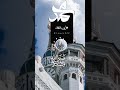 للسماء ارتقى فأتى بالنقاء
