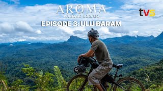 Aroma Puncak Borneo | Ep 3 | TVS Entertainment
