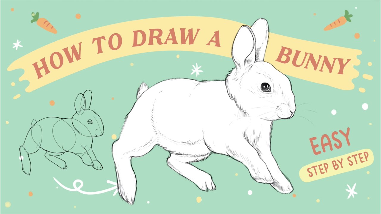 🐰 How to draw a bunny